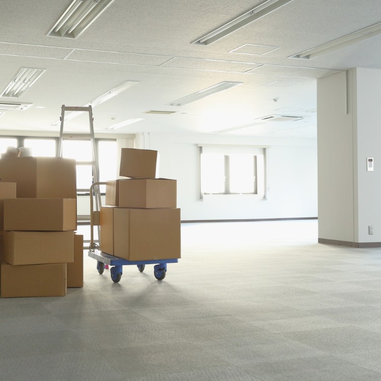 Professional moving services in Chicago, IL
